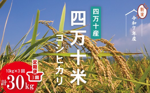 令和7年産 3回 定期便 四万十産 四万十米 コシヒカリ 10kg （5kg×2袋）×3回（計30kg） 国産 こしひかり コシヒカリ 30kg 2025年 精米 白米 米 おこめ こめ コメ ご飯 ごはん ふっくら もちもち 四国 高知 四万十 しまんと 25-946