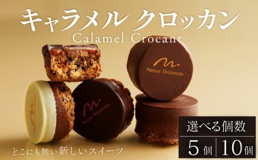 焼き菓子 キャラメルクロッカン 選べるサイズ 5～10個入 キャラメル クロッカン チョコ チョコレート カカオ スイーツ お菓子 焼菓子 おやつ デザート 洋菓子 ギフト プレゼント 贈り物 お祝い 御歳暮 お歳暮 記念日 人気 おすすめ ふるさと納税 京都 八幡 八幡市 パティスリーナチュールシロモト ナチュールシロモト