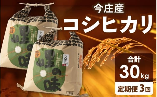 【先行予約】【3ヶ月連続お届け】【 令和7年産 新米 】朝夕の寒暖差が生む極旨のお米 今庄産 コシヒカリ 10kg(5kg×2) 【11月より順次発送予定】 こしひかり 福井 北陸 おこめ