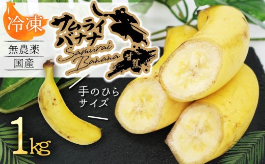 【冷凍フルーツ】高知県産 侍バナナ｜無農薬 国産 農家直送 手のひらサイズ 1kg 冷凍バナナ フルーツ 果物 冷凍フルーツ バナナ サムライ スムージー ふるさと納税