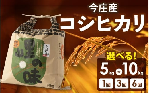 [先行予約][令和7年産 新米][配送回数が選べる]朝夕の寒暖差が生む極旨のお米 今庄産 コシヒカリ 5kg 10kg [11月より順次発送予定][1回、3回、6回発送] こしひかり 福井 北陸 おこめ