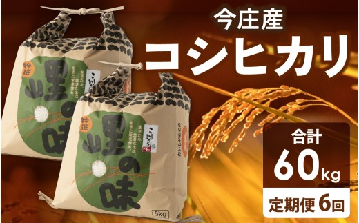 【先行予約】【6ヶ月連続お届け】【 令和7年産 新米 】朝夕の寒暖差が生む極旨のお米 今庄産 コシヒカリ 10kg(5kg×2) 【11月より順次発送予定】 こしひかり 福井 北陸 おこめ