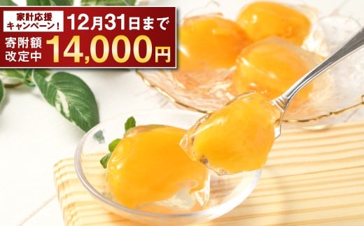 茂木ビワゼリー10個