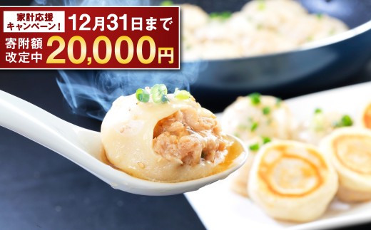 長崎焼小籠包 レンジタイプ 40個 雲仙うまか豚紅葉 簡単調理 グルメ お取り寄せ
