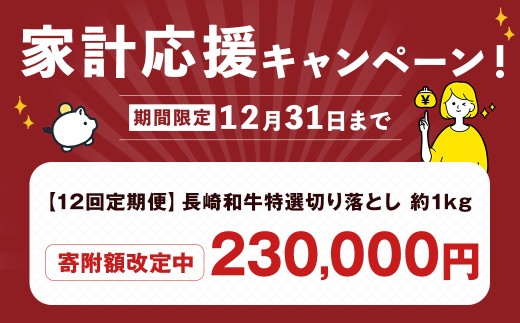 【全12回定期便】【A4～A5ランク】長崎和牛 特選 切り落とし 約1kg (200g×5パック)