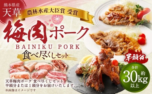 【豚半頭分！】完全無薬！梅肉エキス肥育 熊本県産 天草梅肉ポーク 食べ尽くしセット 半頭 約30kg以上 肉 お肉 豚肉 ポーク 詰め合わせ セット 冷凍 熊本県 上天草市 2260603 - 熊本県上天草市