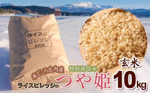 令和7年産 米どころ庄内産 ライスビレッジの特別栽培米 つや姫 玄米10kg　K-7117