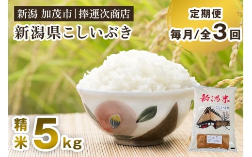 【令和7年産新米先行予約】【定期便3ヶ月毎月お届け】新潟県産こしいぶき 精米 5kg 《9月下旬～順次出荷》 コシイブキ 新潟米 お米 白米 ライス ご飯 加茂市 捧運次商店
