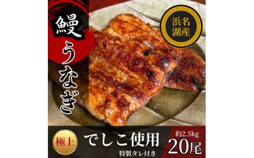 浜名湖産でしこうなぎの蒲焼き　1尾あたり120～140g×20パック【1588398】