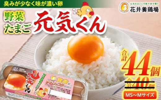愛され続けて30年 「野菜たまご 元気くん」（40個＋4個増量） 日々のお料理がワンランクアップ!!