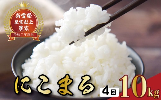 【先行予約】 令和7年産 にこまる 白米 4ヵ月連続でお届け!! 定期便 10kg × 4回 40kg お米 白米 精米 新米 産地直送 ごはん ご飯 高知県産 弁当 おにぎり 料理 新嘗祭皇室献上米 令和7年 R7年 高知県安芸市