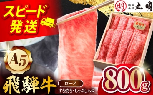 【A5等級】 飛騨牛 ロース すき焼き しゃぶしゃぶ用 800g 多治見市 / 飛騨牛の丸明 冷凍 和牛 赤身 霜降り [THL007]