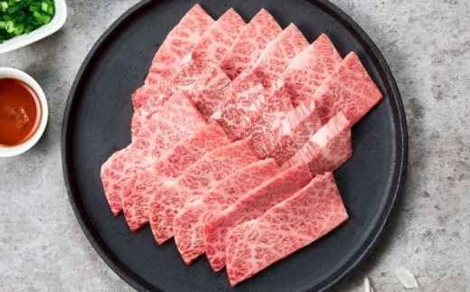 くまもと黒毛和牛 黒樺牛 A4～A5等級 カルビ 焼肉用 約500g（約250g×2P）【株式会社杉本本店】 [AYBJ032]
