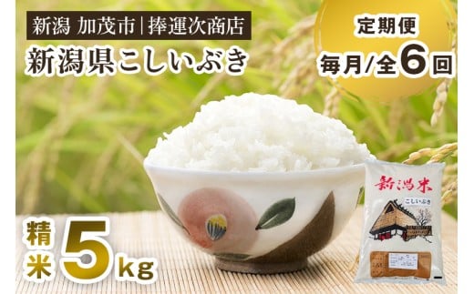 【令和7年産新米先行予約】【定期便6ヶ月毎月お届け】新潟県産こしいぶき 精米 5kg 《9月下旬～順次出荷》 コシイブキ 新潟米 お米 白米 ライス ご飯 加茂市 捧運次商店