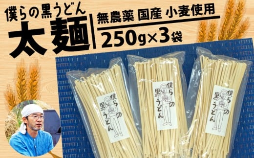 【太麺】黒うどん 250g 3袋 750g 乾麺 無農薬 麦 国産 小麦粉 うどん 麺 僕らの黒うどん 僕らの集会所 埼玉県 羽生市 1179011 - 埼玉県羽生市