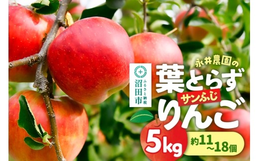 《11月下旬～12月上旬発送》葉とらずサンふじりんご 5kg（約11～18個）永井農園