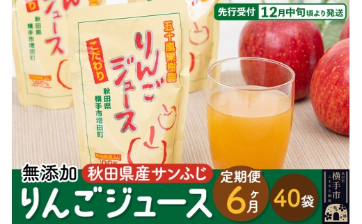 《定期便6ヶ月》 無添加りんごジュース（サンふじ）40パック