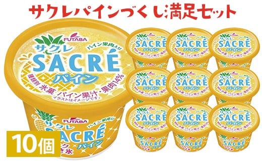 サクレパインづくしセット　10個｜アイス かき氷 シャーベット デザート※着日指定不可※離島への配送不可 959315 - 栃木県さくら市