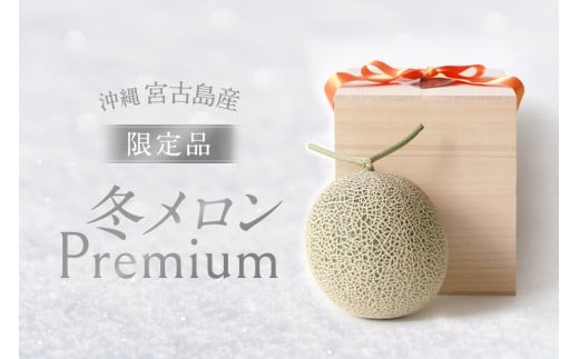 品切れ★[限定品]桐箱入り高級メロン|冬メロン Premium|沖縄・宮古島産[琉球マルシェ]