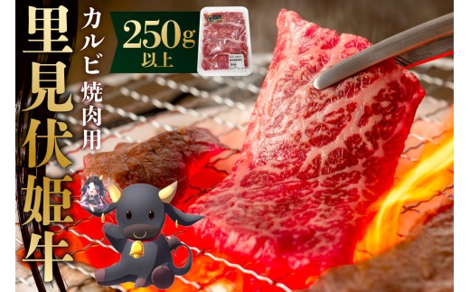 里見伏姫牛 カルビ焼肉用250g以上 mi0119-0001 [肉 食品 焼肉 BBQ バーベキュー 家族 ファミリー お取り寄せ グルメ]