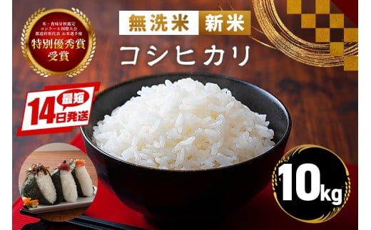 米 令和7年産 新米 無洗米 10kg コシヒカリ こしひかり お米 おこめ 白米 国産 おにぎり 弁当 R7年産 ギフト プレゼント お試し 茨城県 笠間市 いばらき