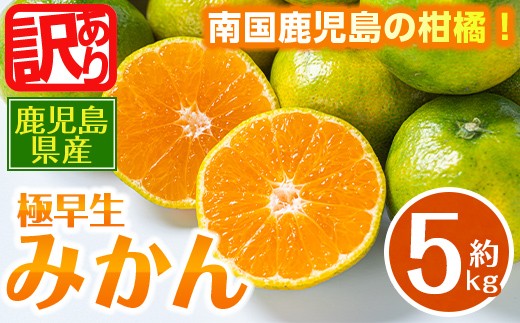 i1170 《訳あり！数量・期間限定》鹿児島みかん（極早生系・約5kg） みかん 蜜柑 ミカン 柑橘 極早生 10kg 果物 フルーツ 果実 国産 鹿児島 訳あり 【江崎果樹園】