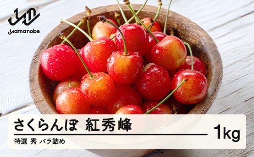 【先行予約】 さくらんぼ 特選 紅秀峰 秀品 約1kg 令和8年産 2026年産 山形県産 フルーツ 果物 tf-bsbsl1000