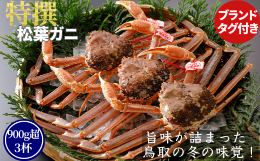 【活物】特撰 松葉がに（タグ付き）1kg超の大きいサイズ　特大2杯
