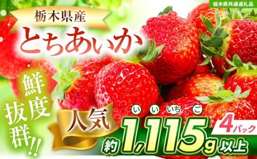 【先行予約】ぎっしりとちあいか 約1115g 【栃木県共通返礼品】| いちご とちあいか 大粒 新鮮 甘い 数量 限定 美味しい 果物 共通返礼品 フルーツ デザート 栃木県 送料無料 2242962 - 栃木県矢板市