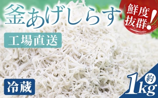 【冷蔵】釜揚げしらす(ちりめん) 約1kg - しらす 釜揚げ 国産 ちりめん しらす シラス 稚魚 魚介 魚 海産物 天日干し 釜茹で ドロメ サラダ 和え物 アレンジ 料理 ご飯のお供 三浦屋海産 高知県 香南市 冷蔵シラス しらす ｼﾗｽ mu-0008 2225755 - 高知県香南市