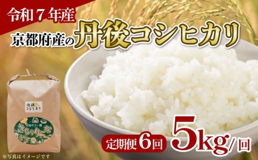 【令和7年産 新米】定期便 全6回 京都府産 丹後コシヒカリ 5kg 米 こめ 白米 国産 ブランド米 取り寄せ 京都 ごはん コシヒカリ 2025年度 JA JA京都 京都府産 京都府