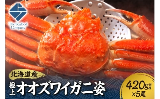 北海道産極上オオズワイガニ姿　420g前後×5尾セット