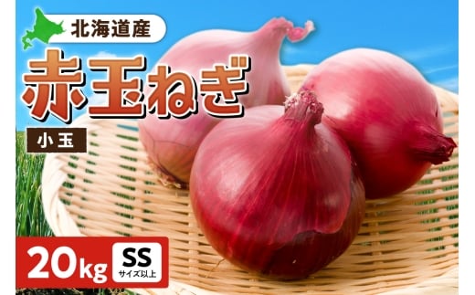 赤玉ねぎ 北海道産 小玉 20kg SSサイズ以上