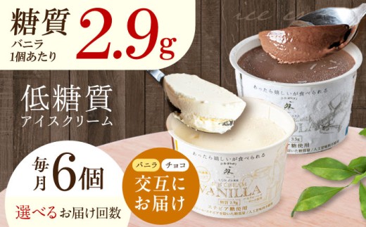 【全6回定期便】バニラとチョコの交互お届け！然オリジナル バニラアイスクリーム・チョコレートアイスクリーム スイーツ デザート アイス アイスクリーム チョコ バニラ 低糖質 お菓子 スイーツ 大阪府高槻市/低糖質食専門店ローカーボキッチン然-zen- [AOBD053]
