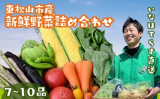 季節の野菜詰合せセット 7~10品 | 野菜 野菜セット 詰め合わせ 季節 旬 新鮮野菜 かぶ レタス キャベツ のらぼう菜 トマト オクラ 玉ねぎ ニンニク きゅうり ナス ニンジン ネギ ズッキーニ インゲン バラエティ バラエティーセット おいしい 美味しい うまい 旨い 自然 東松山市 埼玉県
