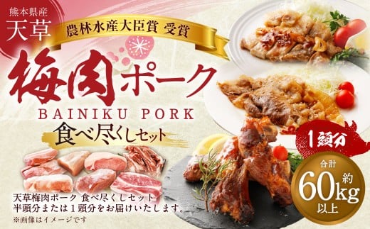 【豚1頭分！】完全無薬！梅肉エキス肥育 熊本県産 天草梅肉ポーク 食べ尽くしセット 一頭 約60kg以上 肉 お肉 豚肉 ポーク 詰め合わせ セット 冷凍 熊本県 上天草市 2260604 - 熊本県上天草市
