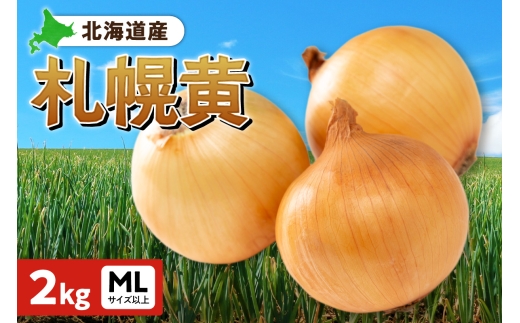 札幌黄 玉ねぎ 北海道産 2kg MLサイズ以上