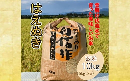 人気のブランド米 はえぬき 玄米 10kg（飯豊町産）(R7年産）【価格改定】
