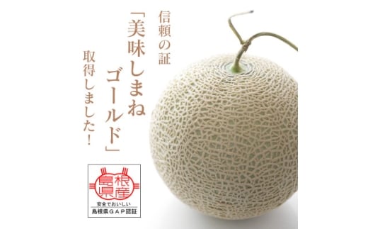 メロンパークのメロン＜2026年8月より順次発送・2Lサイズ1玉＞【1666374】