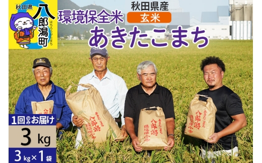 【玄米】令和7年産 秋田県産 あきたこまち 環境保全米 3kg (3kg×1袋)  429599 - 秋田県八郎潟町