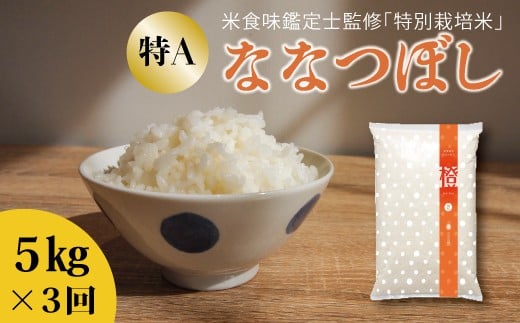 令和7年産【定期便】特別栽培米ななつぼし 5kg×3回 舟山農産