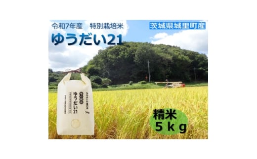 令和7年産　特別栽培米「ゆうだい21」精米5kg【1557706】