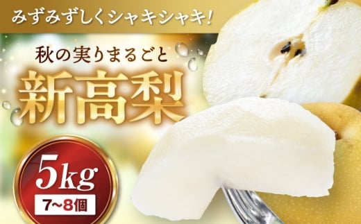 【9月下旬から順次配送】　梨 新高 約5kg 愛媛県大洲市/まるちよ農園 梨 和梨 [AGEL001] [AGEL001]