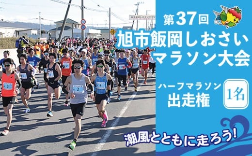 第37回 旭市 飯岡しおさいマラソン 大会 ハーフマラソン 1名 マラソン 大会 出走権 マラソン大会 ハーフマラソンの部 参加券 エントリー チケット しおさい 飯岡 給 いちご 所 豚汁 お汁粉 スポーツ アウトドア ランニング 健康 ふるさと納税 千葉県 旭市 旭市教育委員会スポーツ振興課 aim001