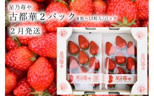 先行予約 奈良県ブランドイチゴ古都華2パック 2月発送 // /苺 いちご イチゴ 古都華 奈良 奈良県 広陵町 生産者直送 直送 厳選 数量限定 旬 フルーツ 甘い 完熟 果物
