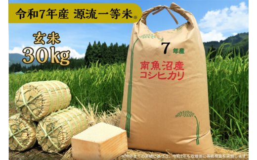 [令和7年産]玄米 30kg 源流一等米 南魚沼産コシヒカリ 産地直送 中屋ふぁーむ[湯沢産コシヒカリ]