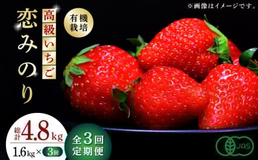 【先行予約】【3回定期便】高級 いちご 恋みのり 約1600g（200g×8pc）【伊藤農園】イチゴ いちご 苺 熊本県 有機 オーガニック [ZBB010]
