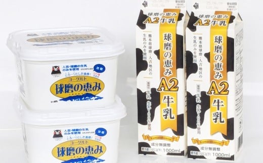 球磨の恵み 「A2牛乳とヨーグルト（加糖）」のセット 牛乳1000ml×2パック ヨーグルト1kg×2パック ／ 生乳 牛乳 ミルク ヨーグルト 乳製品 飲料 飲み物 飲みもの のみもの ドリンク おやつ デザート 国産 熊本県 人吉市