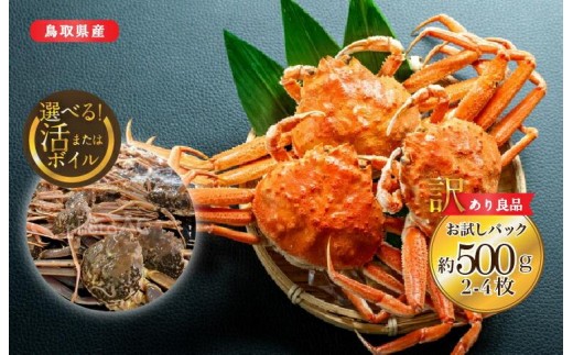 [10/1〜寄附額改定][選べる!活またはボイル]鳥取県産 訳あり 良品セコガニ お試しパック 約500g(2〜4枚)※2025/11/6〜2025/12/29に順次発送予定※着日指定不可 離島不可(北海道、沖縄本島は配送可能) | 蟹 かに せこがに 訳あり 家庭用 鳥取県産 おすすめ 人気