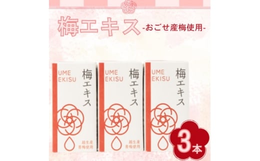 梅エキス 3本入り【1640861】